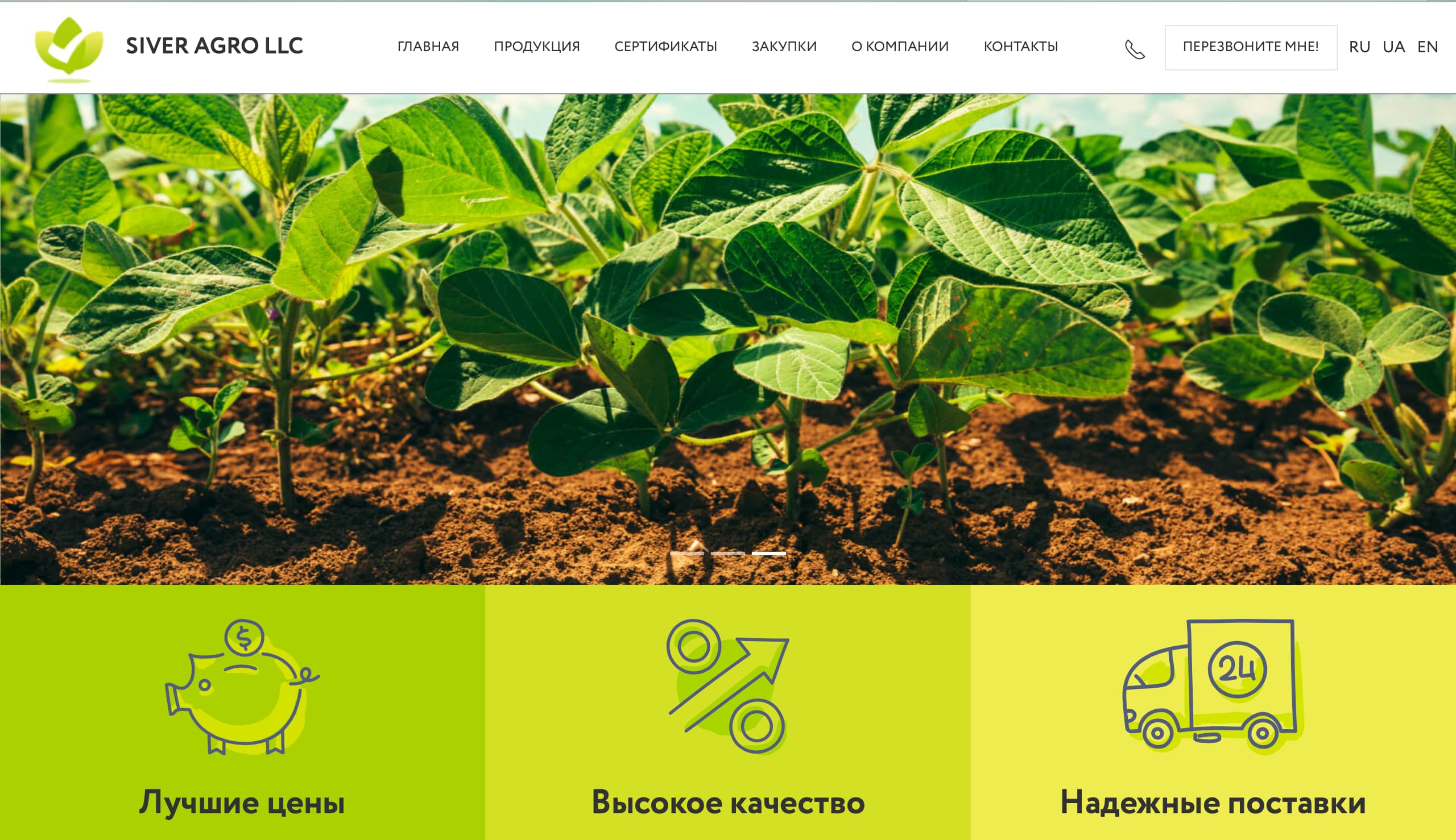 Portfolio-siveragro.com